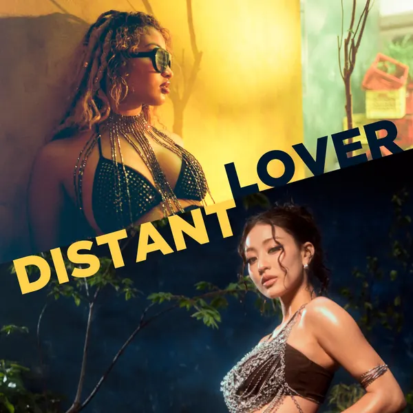 Cover art for Distant Lover